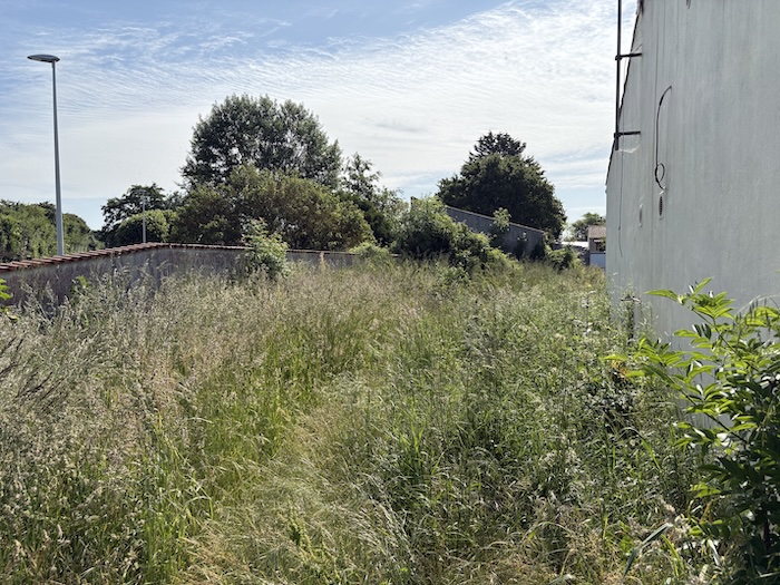 Jardin avant entretien - pelouse haute